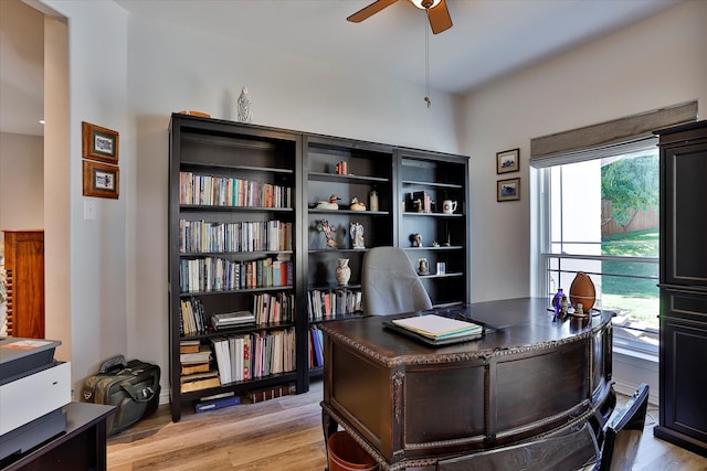 office space with light hardwood / wood-style flooring, plenty of natural light, and ceiling fan