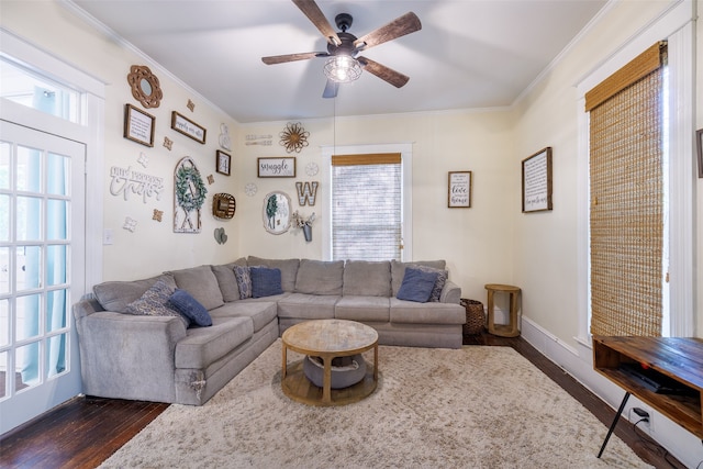 living room with ornamental molding, dark hardwood / wood-style floors, a healthy amount of sunlight, and ceiling fan