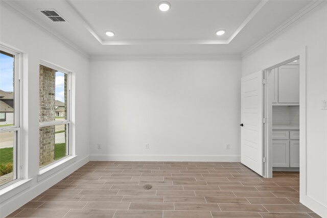 empty room with a raised ceiling, plenty of natural light, and light wood-type flooring