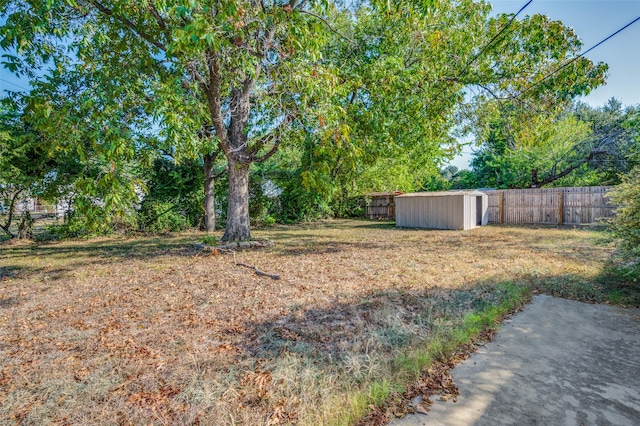 view of yard with a storage unit