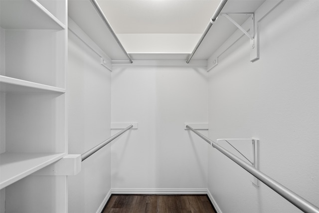 spacious closet with dark wood-type flooring