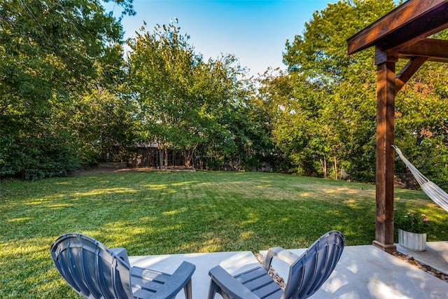 view of yard with view of scattered trees and a patio