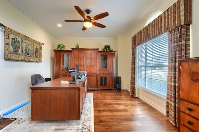 office space with wood-type flooring, ceiling fan, and ornamental molding