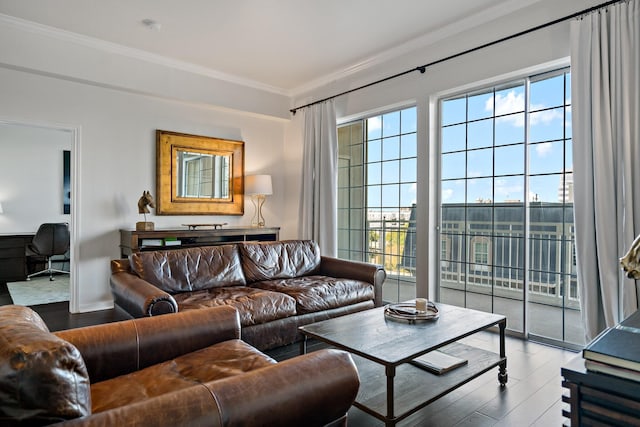 living room featuring ornamental molding and hardwood / wood-style flooring