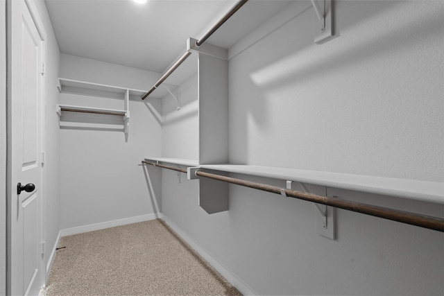 spacious closet featuring light colored carpet