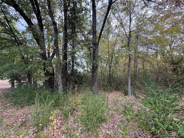 Listing photo 2 for TBD N Florence St, Grand Saline TX 75140