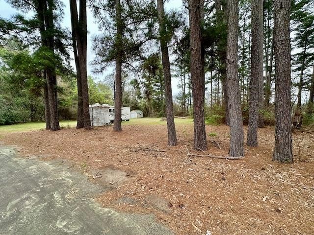 Listing photo 3 for TBD County Road 1421, Quitman TX 75783