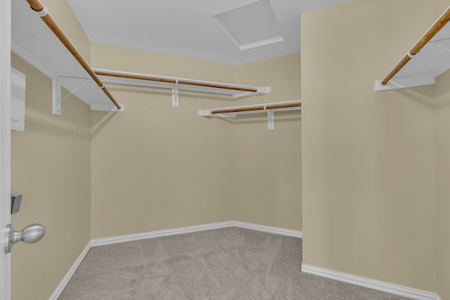 walk in closet with light carpet