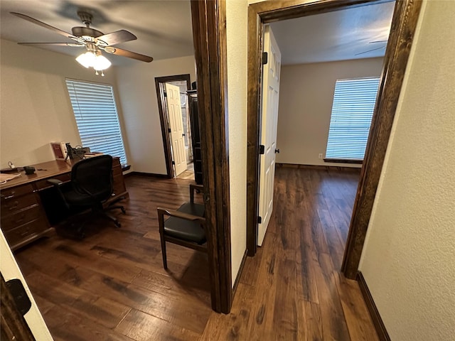 office area with plenty of natural light, ceiling fan, and dark wood-type flooring