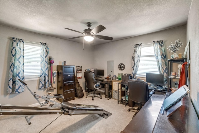 carpeted office space with plenty of natural light, ceiling fan, and a textured ceiling