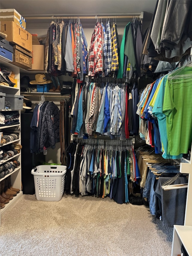 spacious closet with carpet