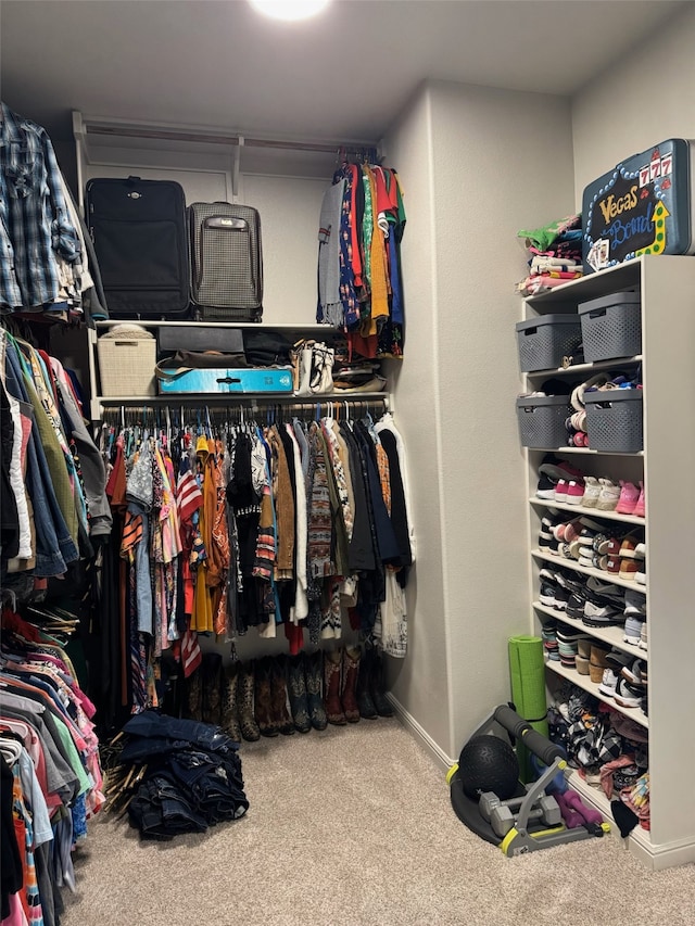 walk in closet with carpet floors