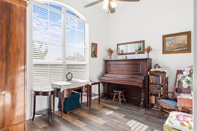 miscellaneous room featuring ceiling fan and dark hardwood / wood-style floors