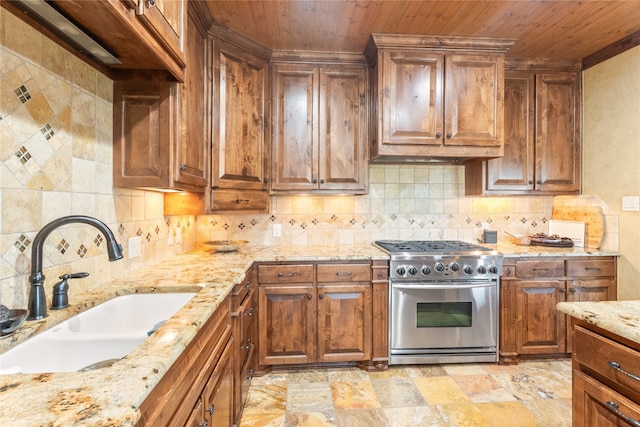 kitchen featuring high end stainless steel range, light stone countertops, sink, and decorative backsplash