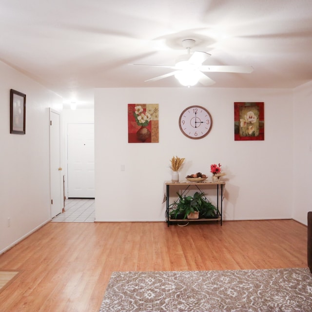 corridor featuring light hardwood / wood-style floors