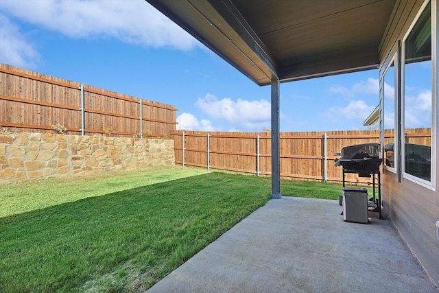 view of yard featuring a patio area