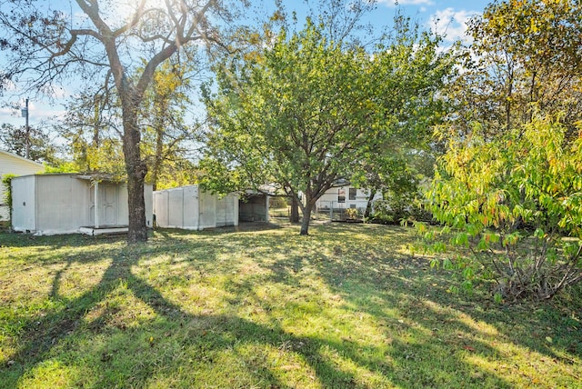 view of yard featuring a shed