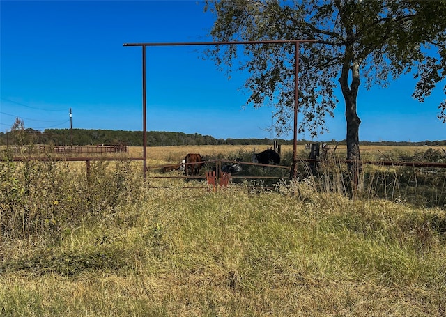 TBD Vz County Road 4111, Canton TX, 75103 land for sale