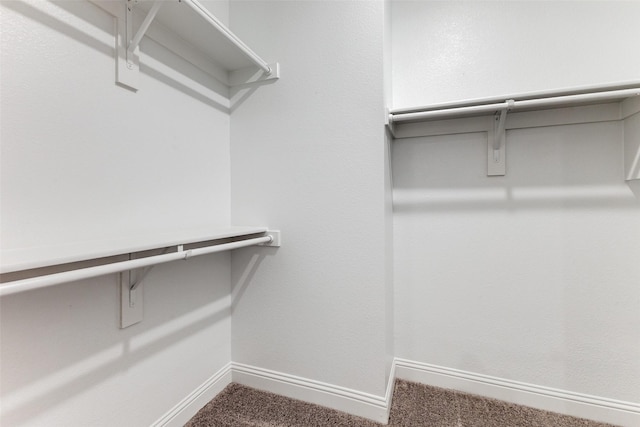 walk in closet featuring carpet flooring