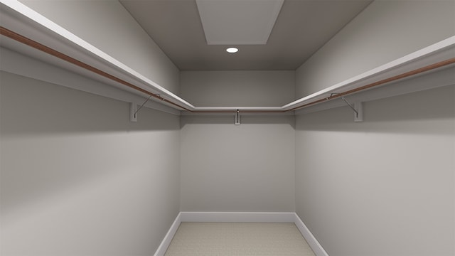 view of spacious closet