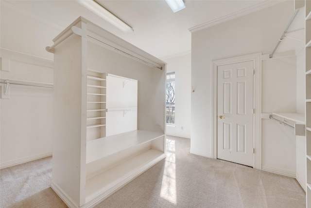 walk in closet featuring light carpet