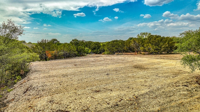 view of local wilderness with a rural view