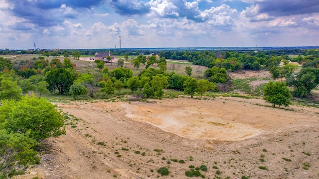 TBD70 Bosal Ln, Weatherford TX, 76088 land for sale