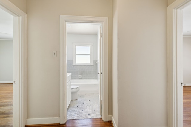 corridor with dark hardwood / wood-style floors