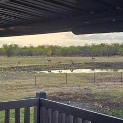 view of yard with a rural view