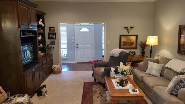 living room with wood-type flooring