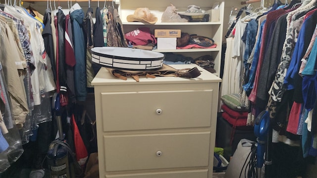 view of spacious closet