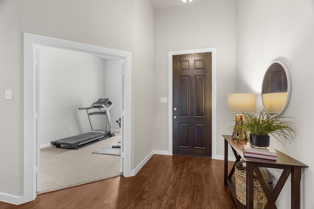 foyer entrance featuring dark hardwood / wood-style flooring and a high ceiling