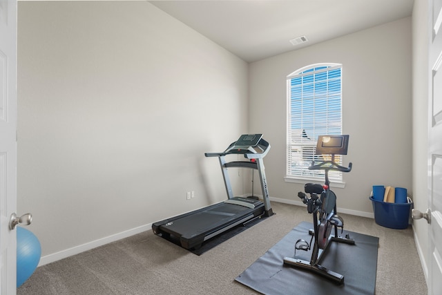 workout area with carpet floors