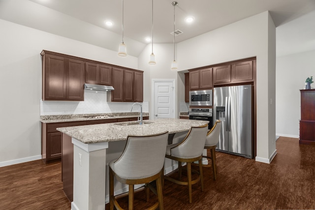 kitchen with stainless steel appliances, sink, pendant lighting, a center island with sink, and high vaulted ceiling