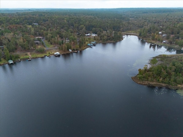 bird's eye view with a water view and a forest view