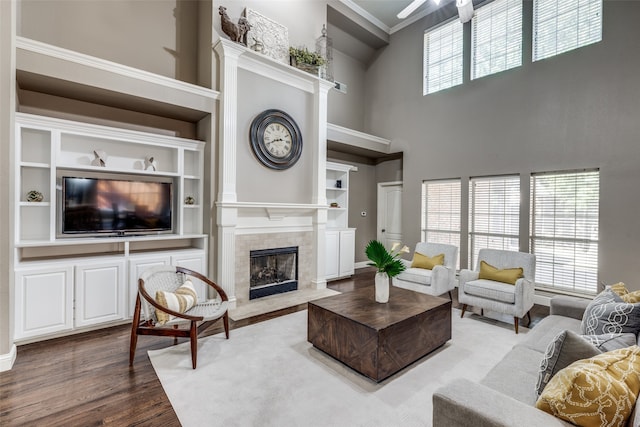 living room with a fireplace, wood-type flooring, a high ceiling, and a wealth of natural light