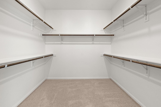 spacious closet featuring carpet flooring