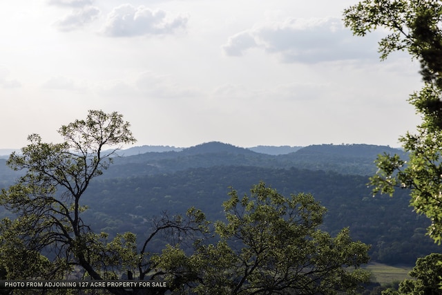 view of mountain feature