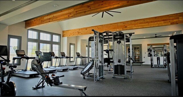 workout area with vaulted ceiling