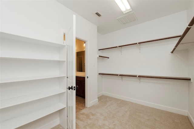 walk in closet featuring light carpet