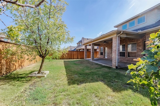 view of yard with a patio area and ceiling fan