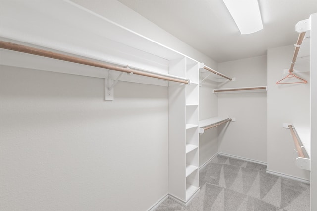 spacious closet featuring light carpet