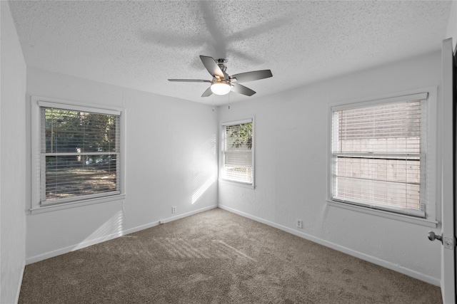 carpeted empty room featuring plenty of natural light and a textured ceiling