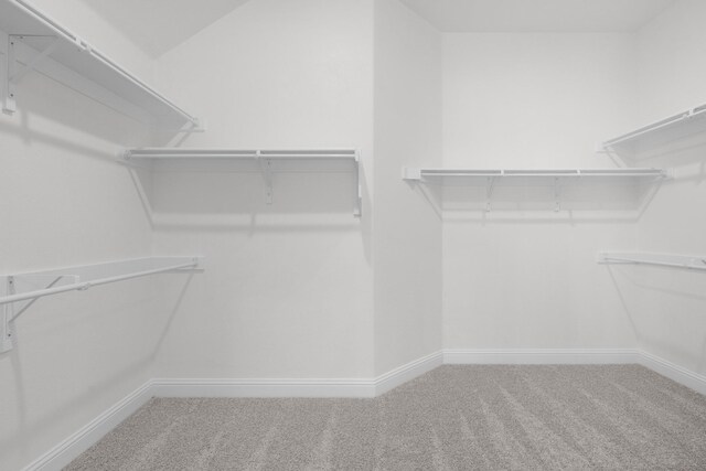 walk in closet with carpet floors