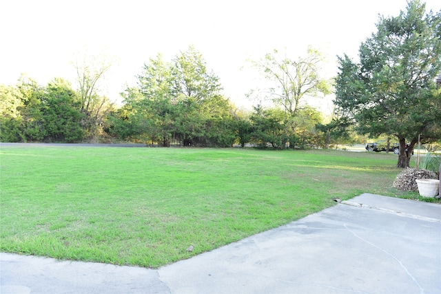 view of yard featuring a patio area