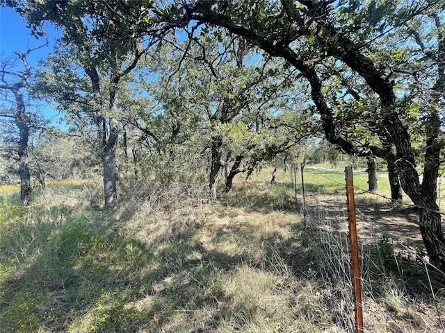 Listing photo 2 for 10228 County Road 130, Brownwood TX 76801