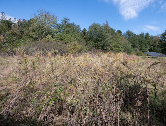 view of local wilderness