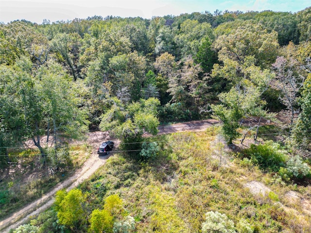 396 Fcr Unit 261, Oakwood, TX 75855 - bird's eye view of a forest