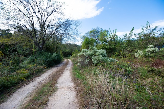 396 Fcr Unit 261, Oakwood, TX 75855 - view of dirt / gravel road featuring a wooded view