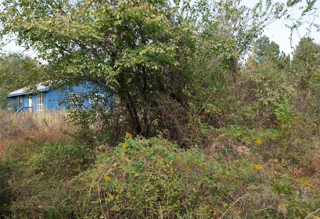 396 Fcr Unit 261, Oakwood, TX 75855 - view of nature